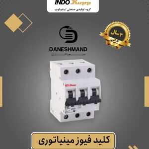 فیوز 3 فاز 25 آمپر برند ایندوکوپ
